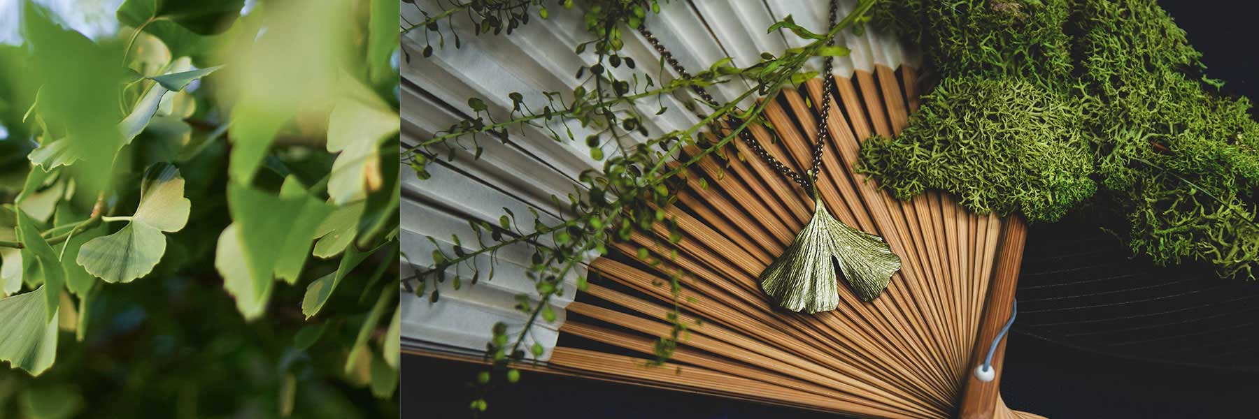 Ginkgo / イチョウ – Michael Michaud Jewellery Japan