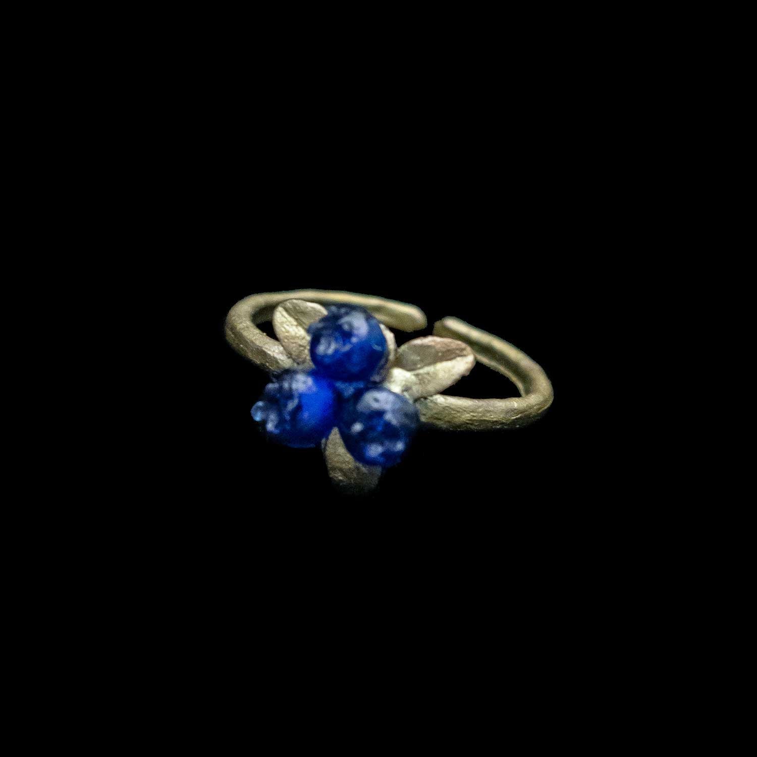 Petite-Blueberry-Ring-8443BZ. 