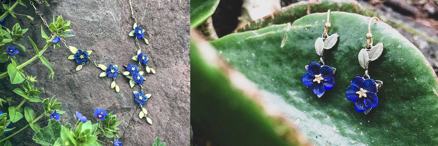 Blue-Eyed Mary / ネモフィラ