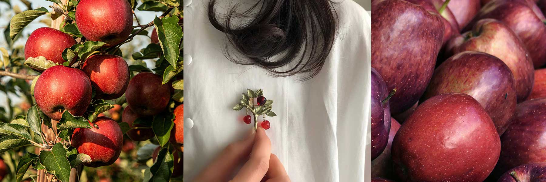 Delicious Apple / デリシャスアップル