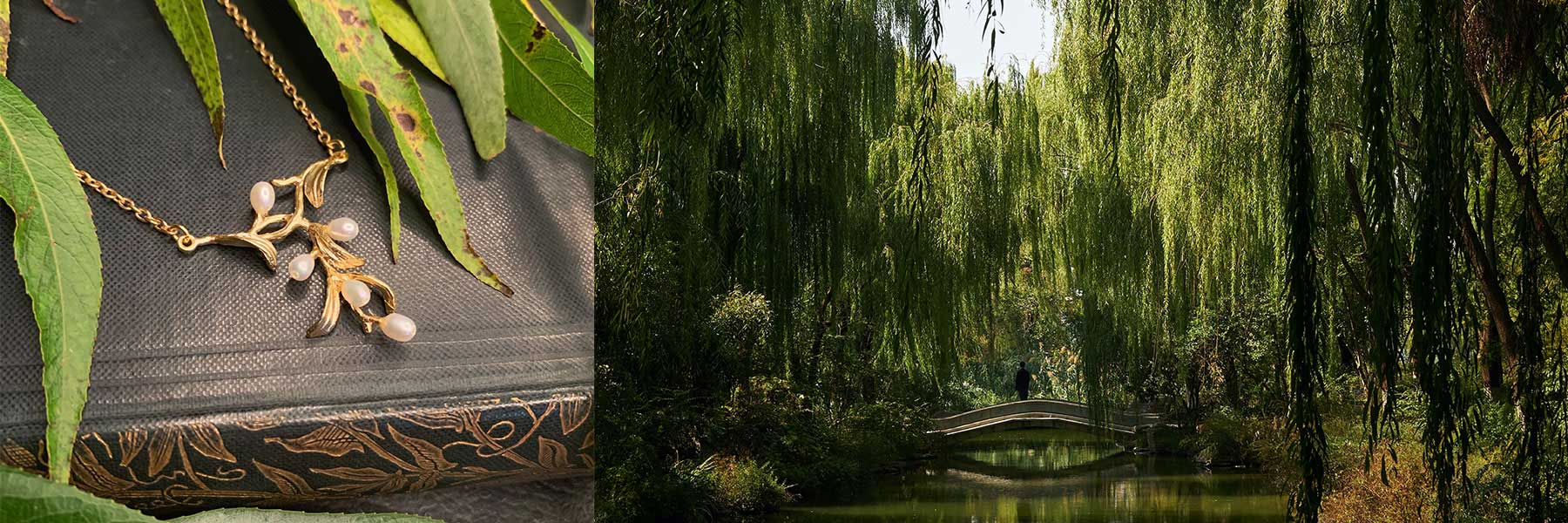 Fine Night Willow / ナイトウィロー