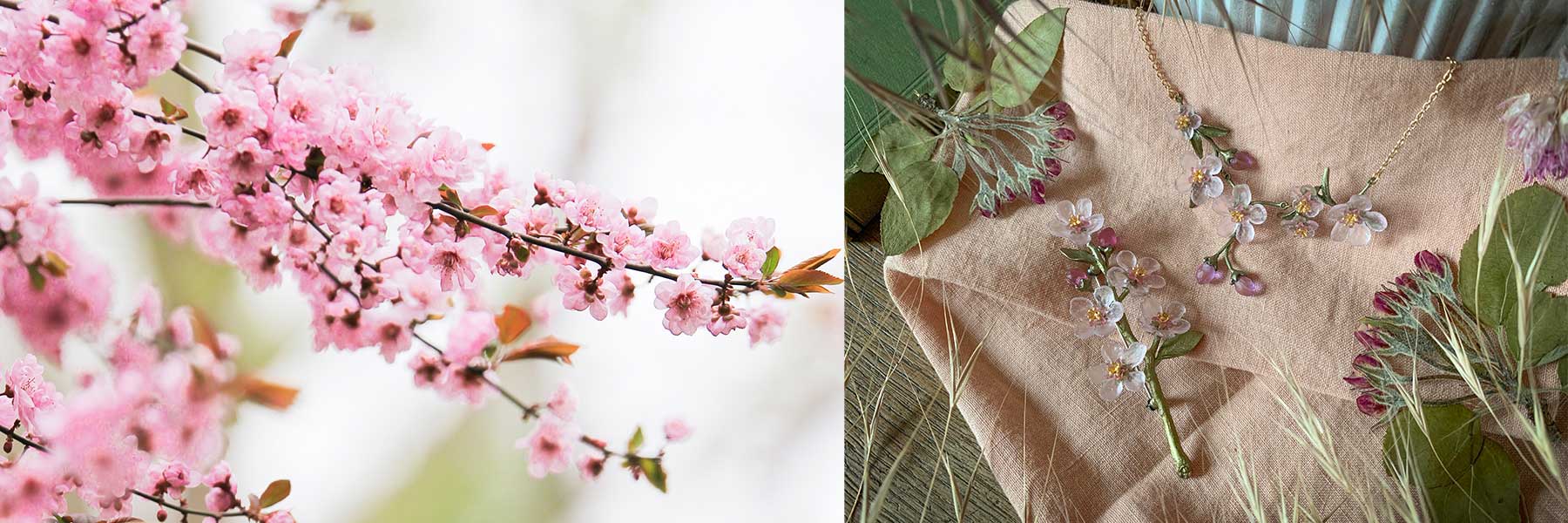 Peach Blossom / ピーチブロッサム