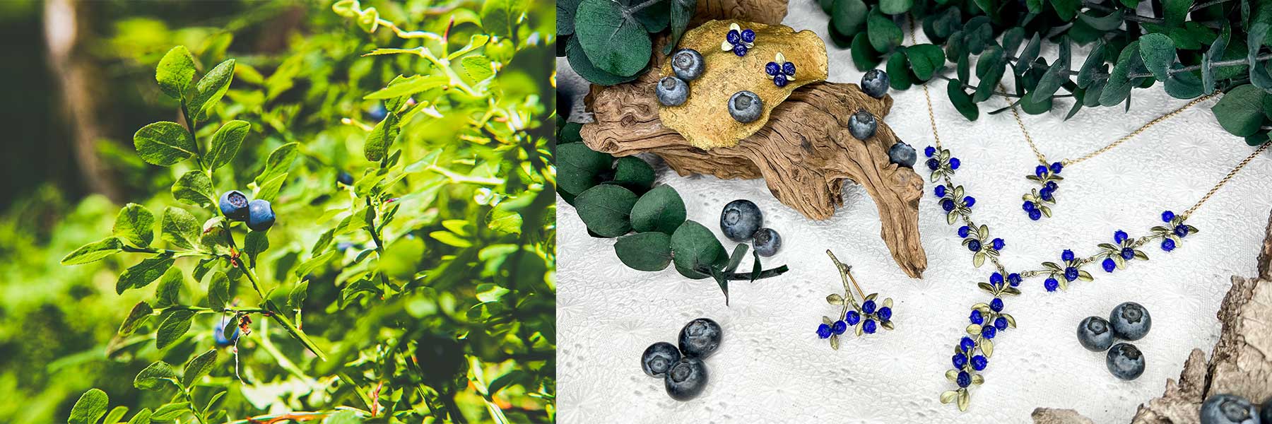 Petite Blueberry / プチブルーベリー