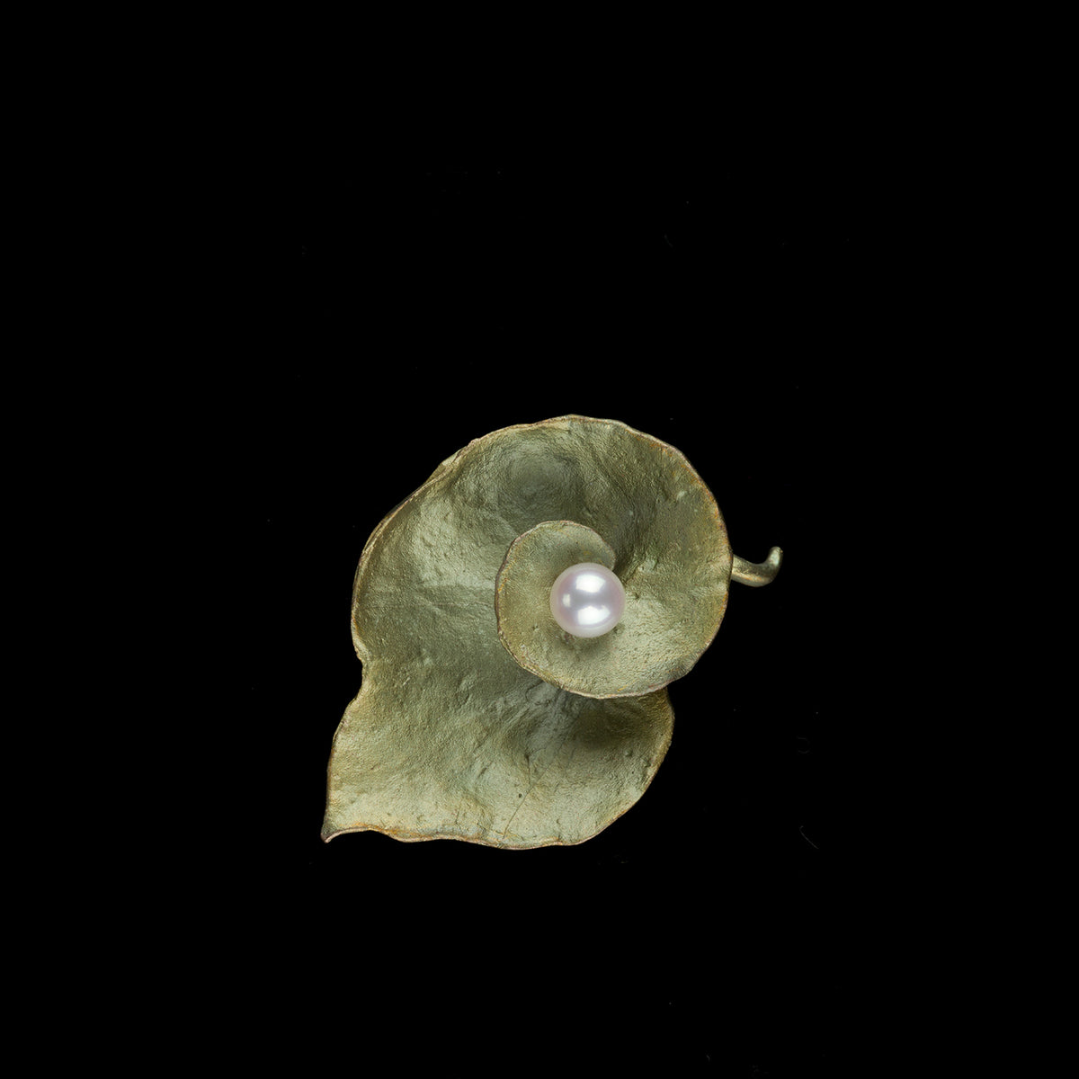 Spiral Geranium
