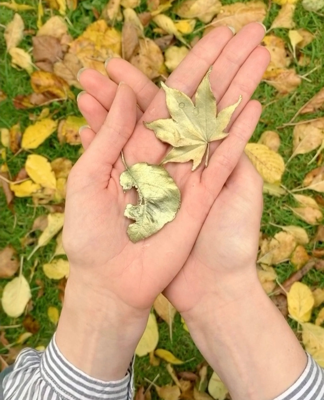 アップルリーフブローチ / Apple Leaf Brooch